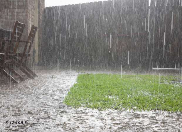 大雨の庭